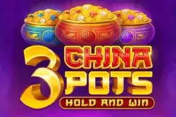 3 China Pots